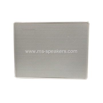 20W hanging wall speaker for home theatre system